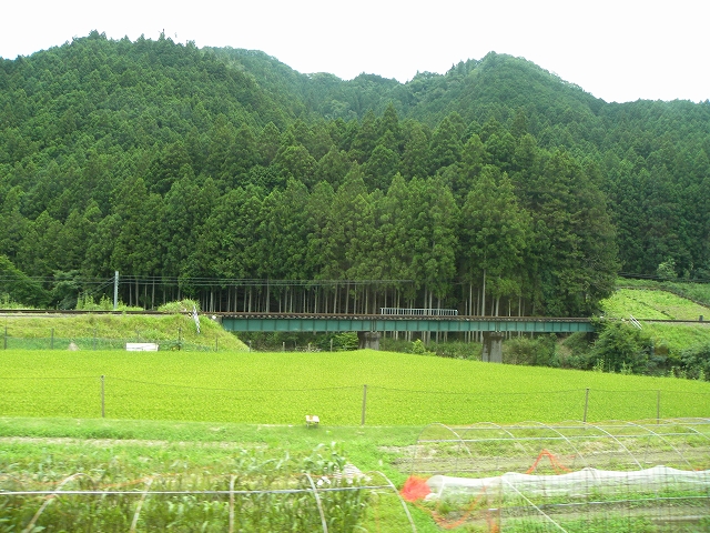 f:id:hiro989:20210515194143j:plain