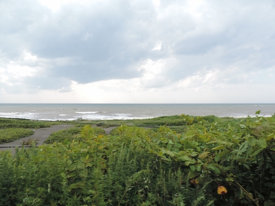 f:id:hiro989:20210529132540j:plain