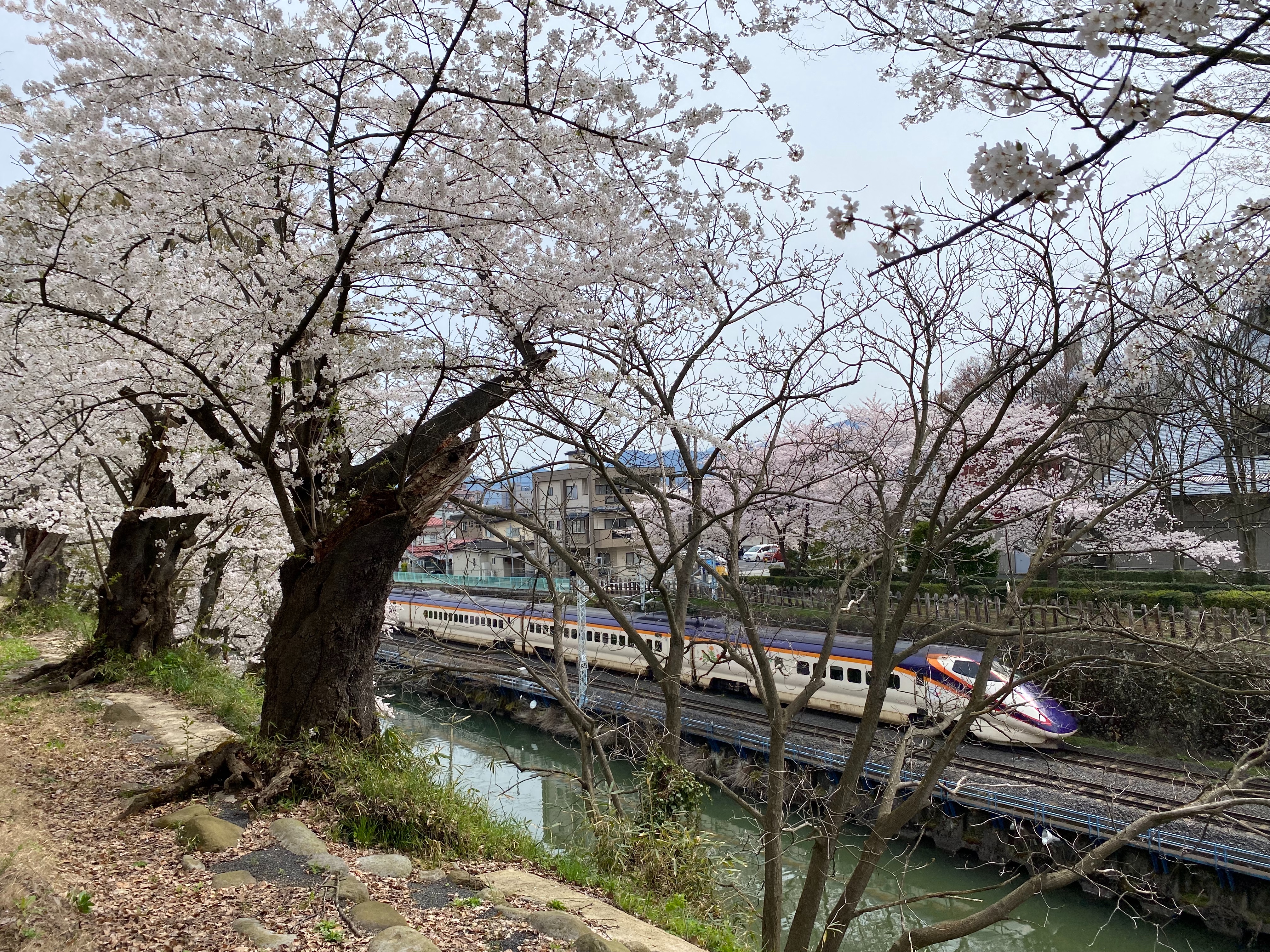 f:id:hiro989:20220418134438j:image