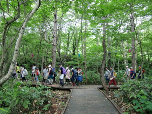 f:id:hiro_116:20100802210702j:image f:id:hiro_116:20100802210702j:image