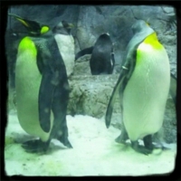 f:id:hiro_116:20110925214925j:image f:id:hiro_116:20110925214925j:image