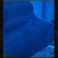 f:id:hiro_116:20110925214926j:image f:id:hiro_116:20110925214926j:image