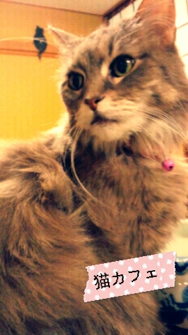f:id:hiro_116:20120214212605j:image f:id:hiro_116:20120214212605j:image