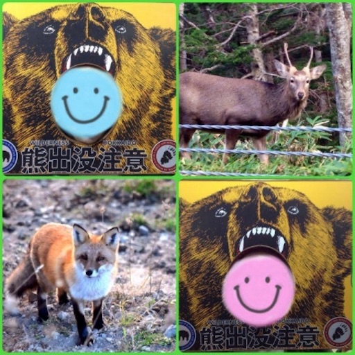 f:id:hiro_16ban:20180103233339j:image f:id:hiro_16ban:20180103233339j:image