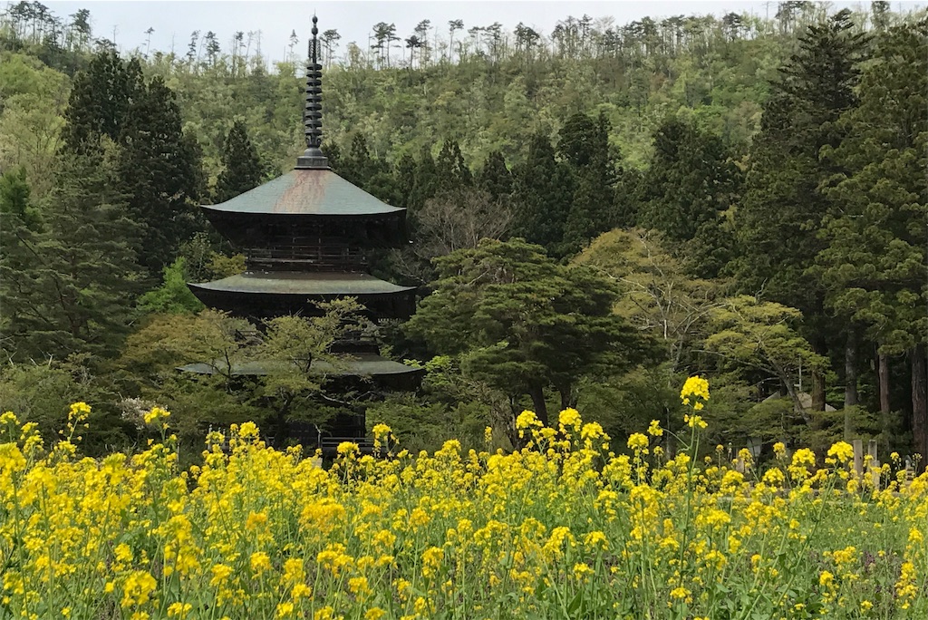 f:id:hiro_16ban:20180501101432j:image f:id:hiro_16ban:20180501101432j:image