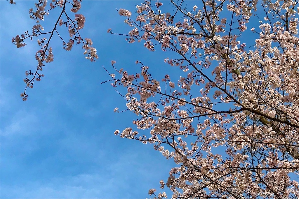 f:id:hiro_16ban:20220331224302j:plain