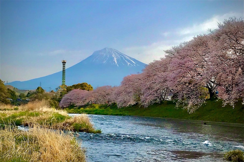 f:id:hiro_16ban:20220331224320j:plain