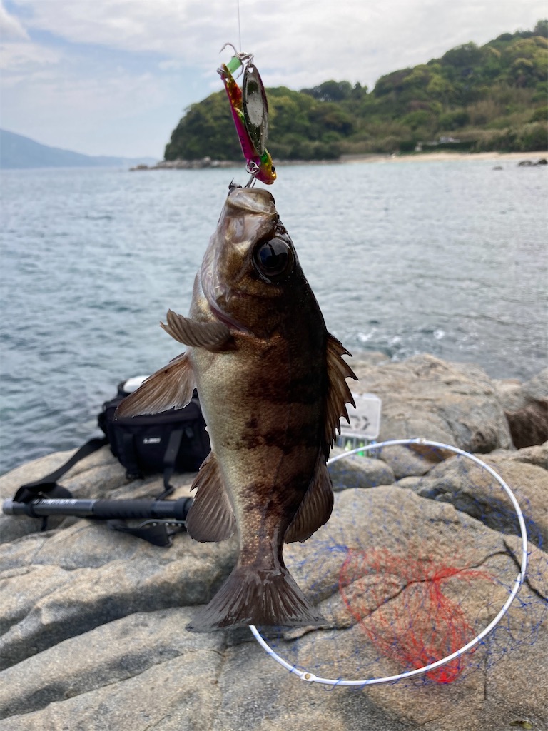 f:id:hiro_blog0:20210530233720j:image f:id:hiro_blog0:20210530233720j:image