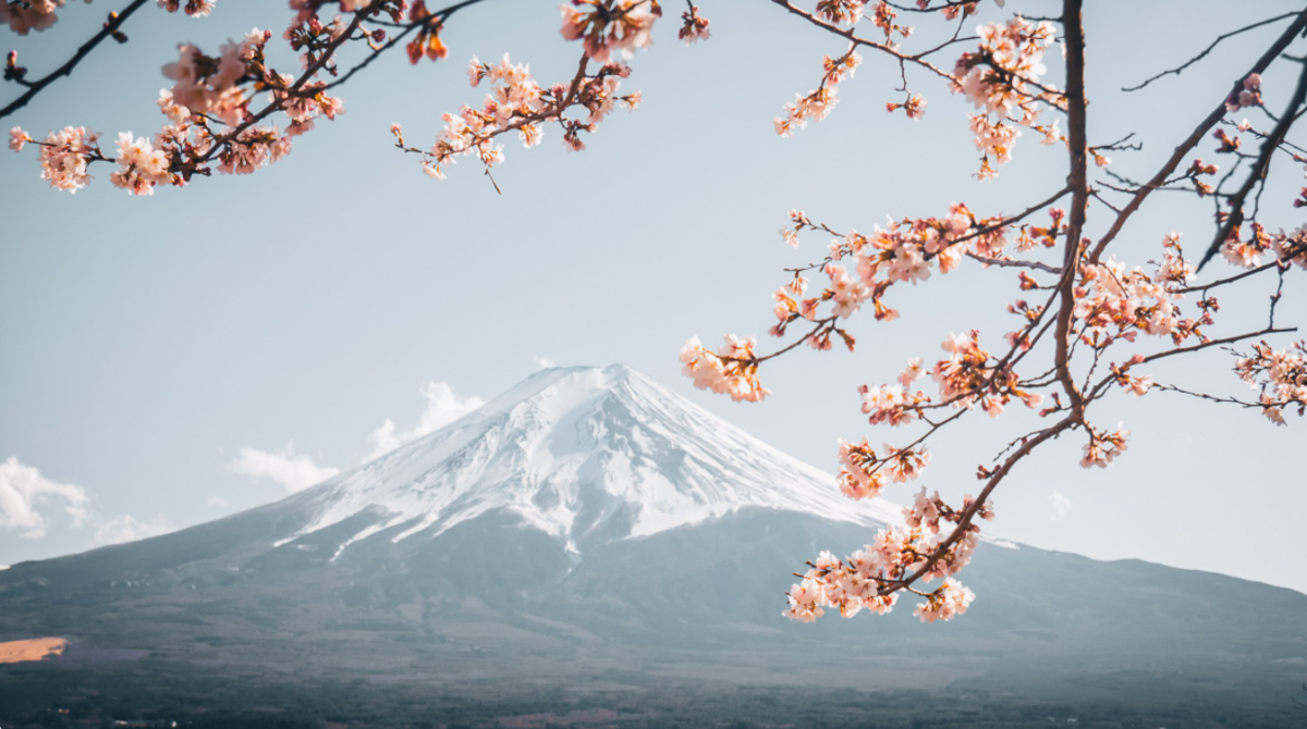 f:id:hiro_chinn:20210328002219p:plain