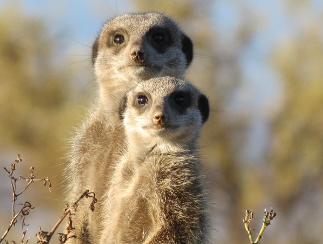 f:id:hiro_chinn:20211230174842p:plain