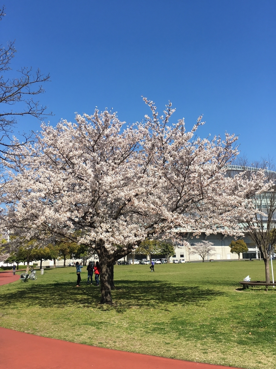 f:id:hiro_nanani:20190402152248j:plain f:id:hiro_nanani:20190402152248j:plain