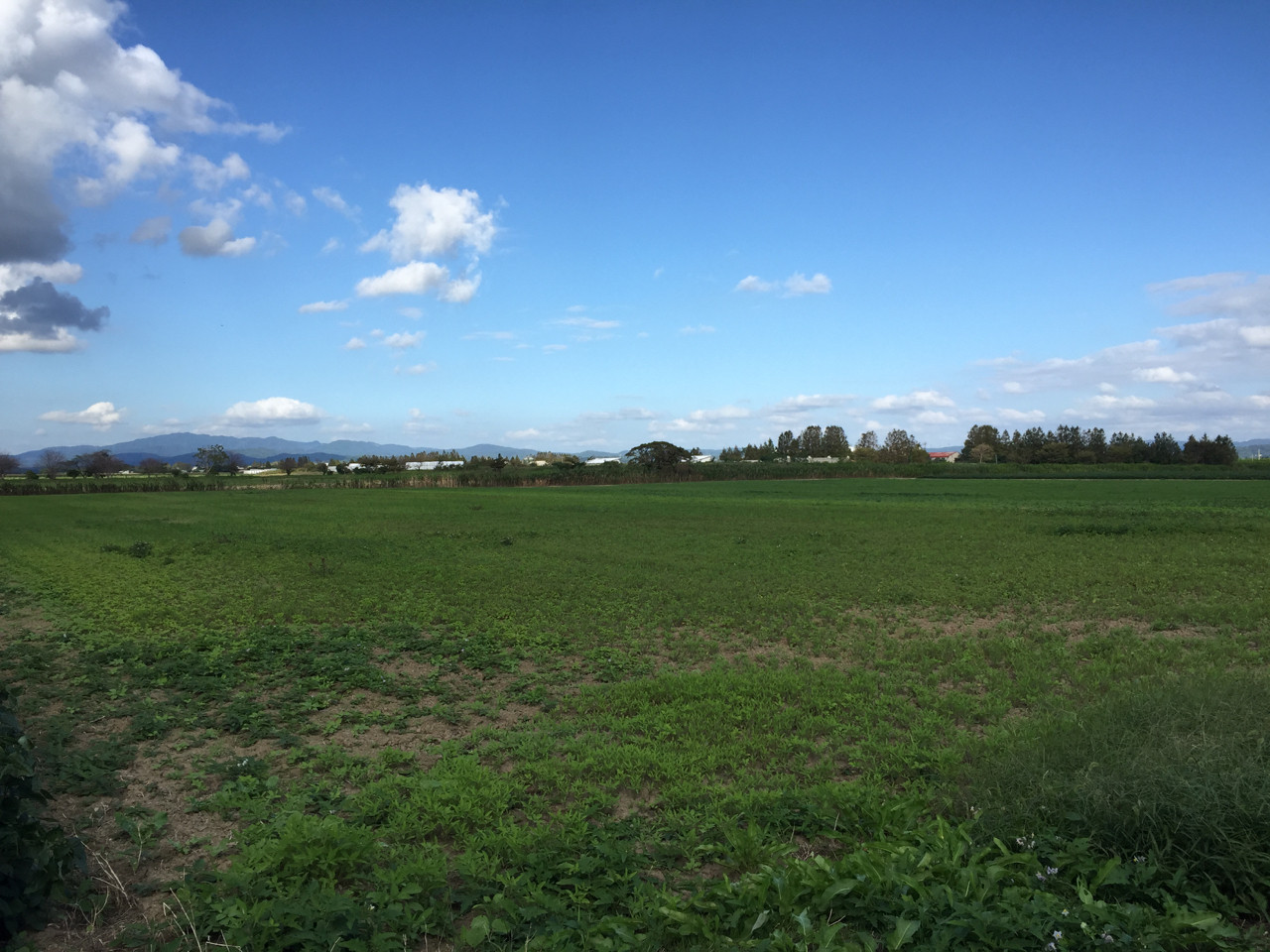 f:id:hiroakim:20150920152905j:image:w360