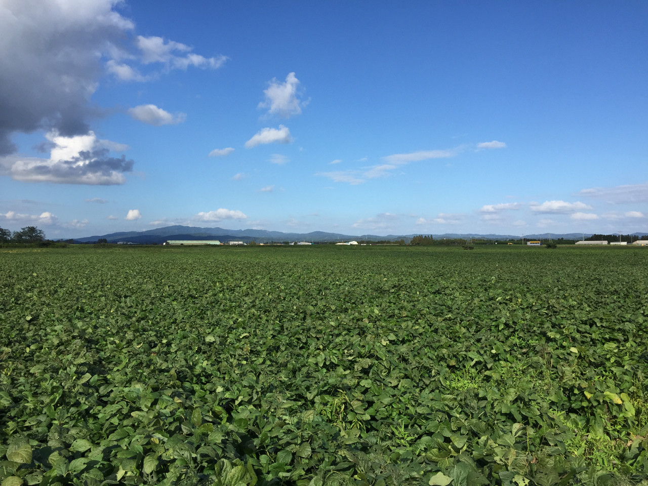 f:id:hiroakim:20150920153109j:image:w360