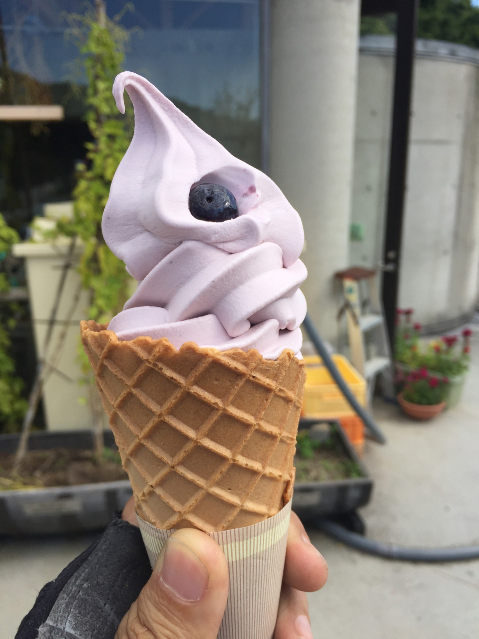 f:id:hiroakim:20150922132526j:image:w270