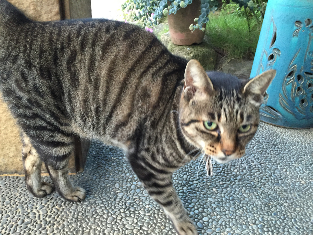 f:id:hiroakim:20150923055235j:image:w360