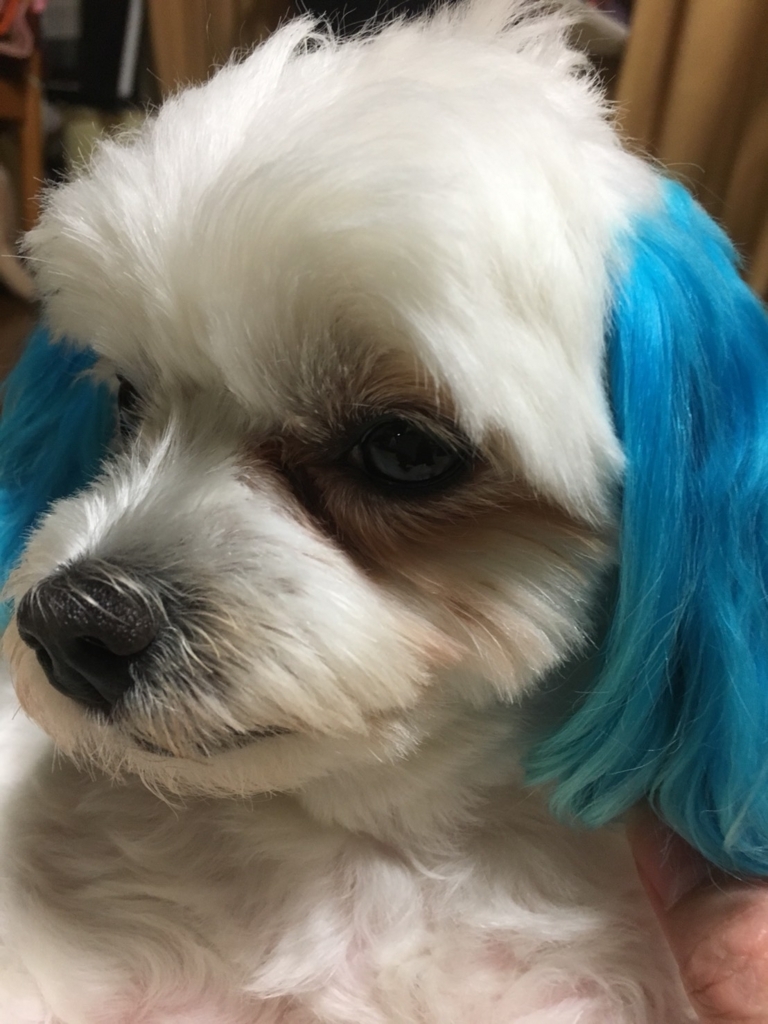 f:id:hirobe123123:20171105230104j:plain