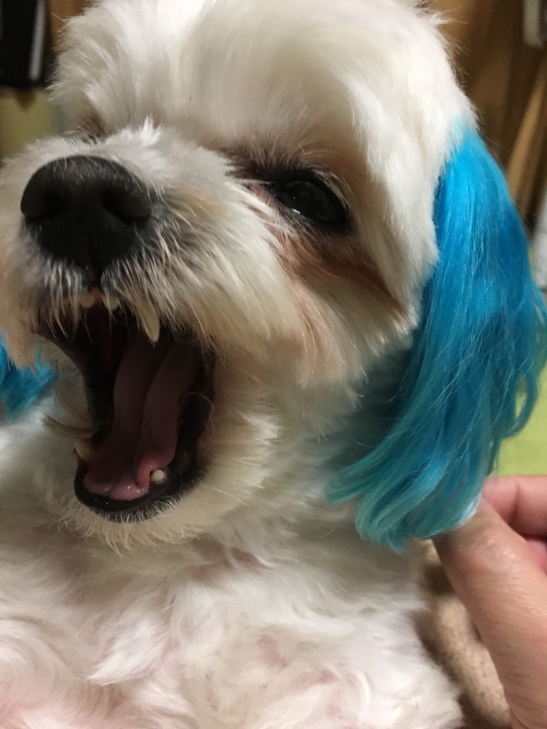 f:id:hirobe123123:20171105230147j:plain