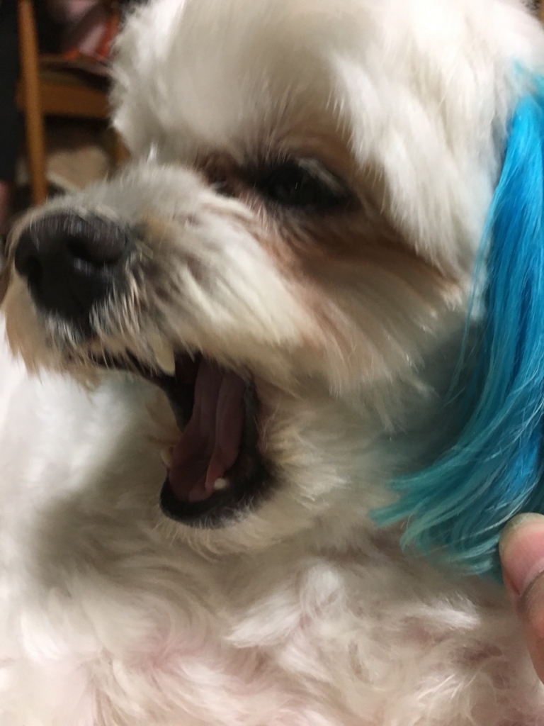 f:id:hirobe123123:20171105230213j:plain