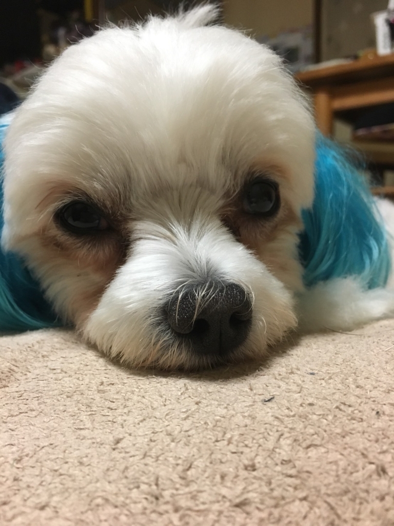 f:id:hirobe123123:20171114190532j:plain f:id:hirobe123123:20171114190532j:plain