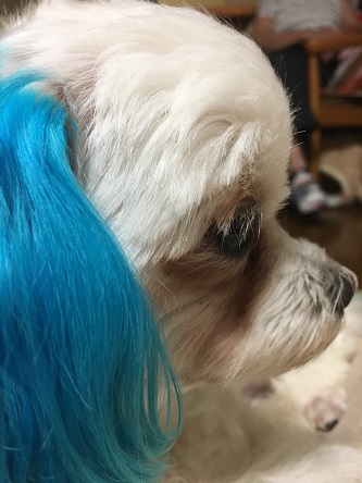 f:id:hirobe123123:20171119221853j:plain f:id:hirobe123123:20171119221853j:plain