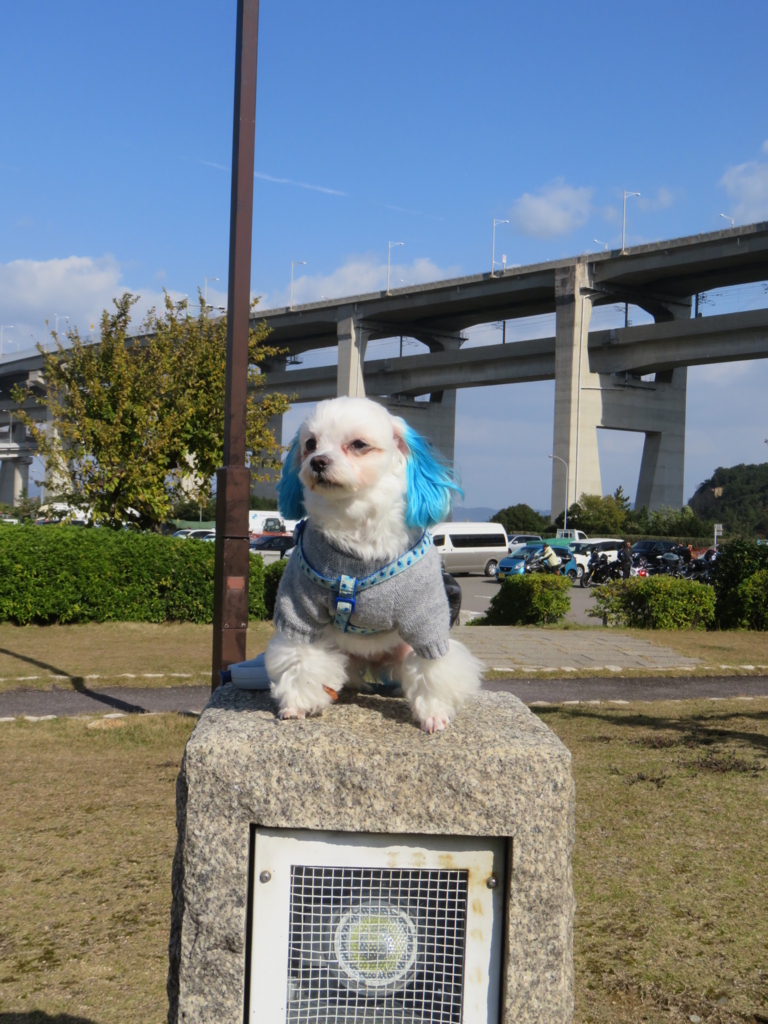 f:id:hirobe123123:20171123112801j:plain f:id:hirobe123123:20171123112801j:plain