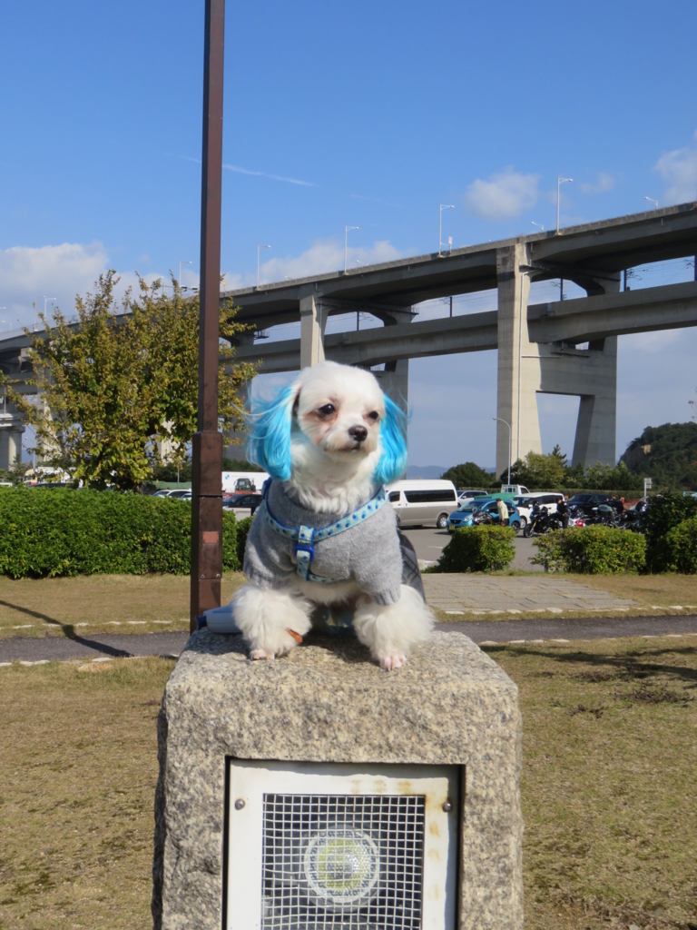 f:id:hirobe123123:20171123112805j:plain f:id:hirobe123123:20171123112805j:plain