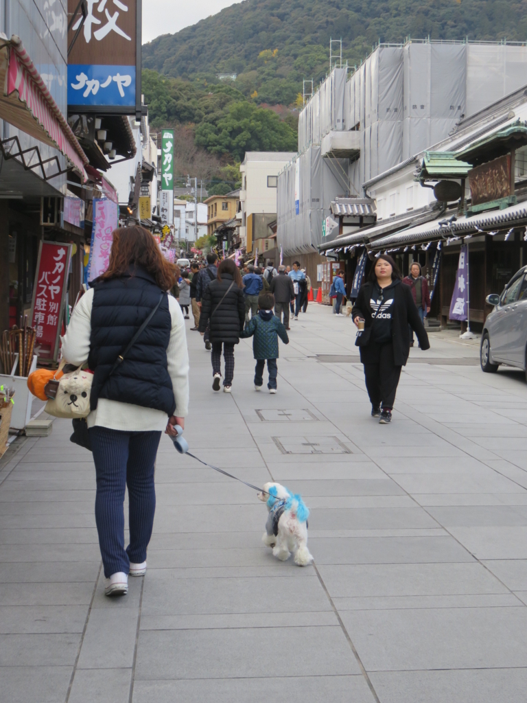 f:id:hirobe123123:20171123122902j:plain f:id:hirobe123123:20171123122902j:plain