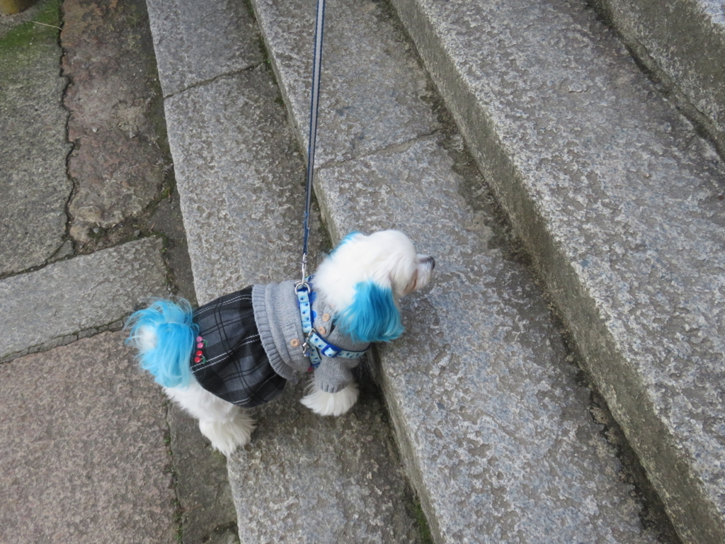 f:id:hirobe123123:20171123132145j:plain f:id:hirobe123123:20171123132145j:plain