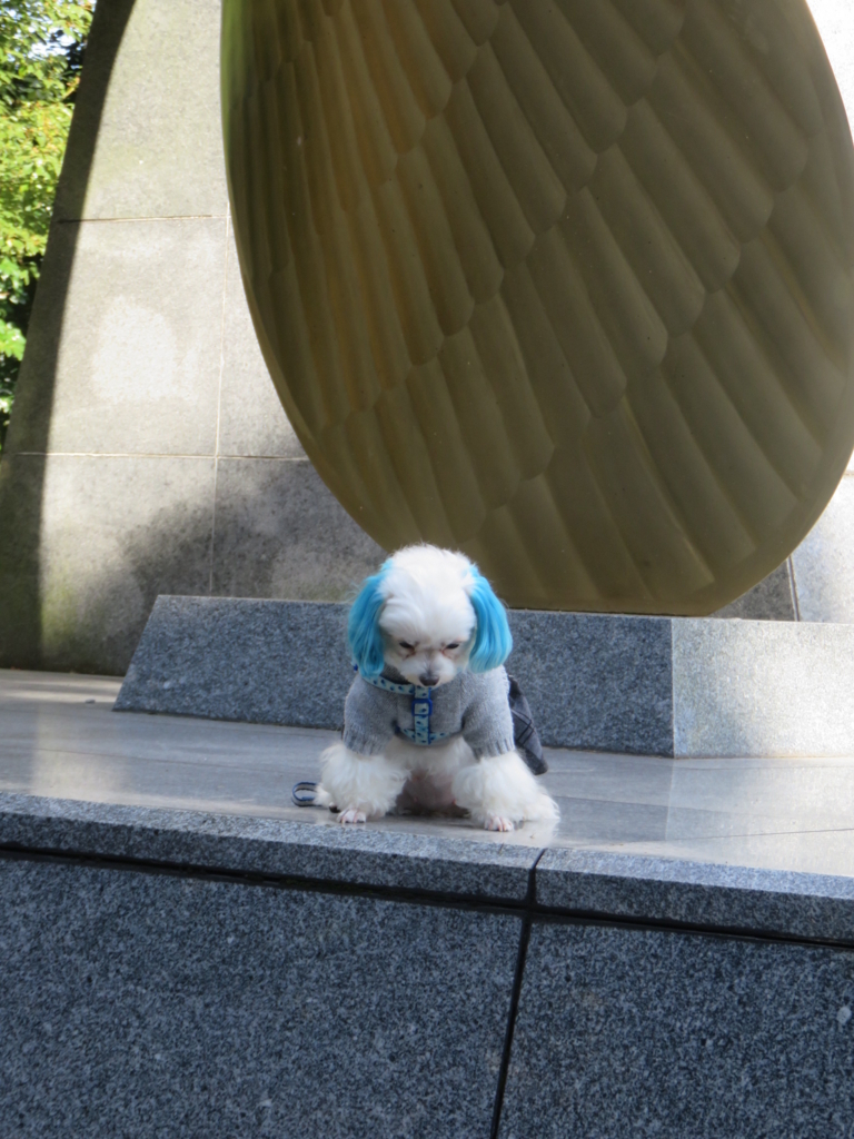 f:id:hirobe123123:20171123135252j:plain f:id:hirobe123123:20171123135252j:plain