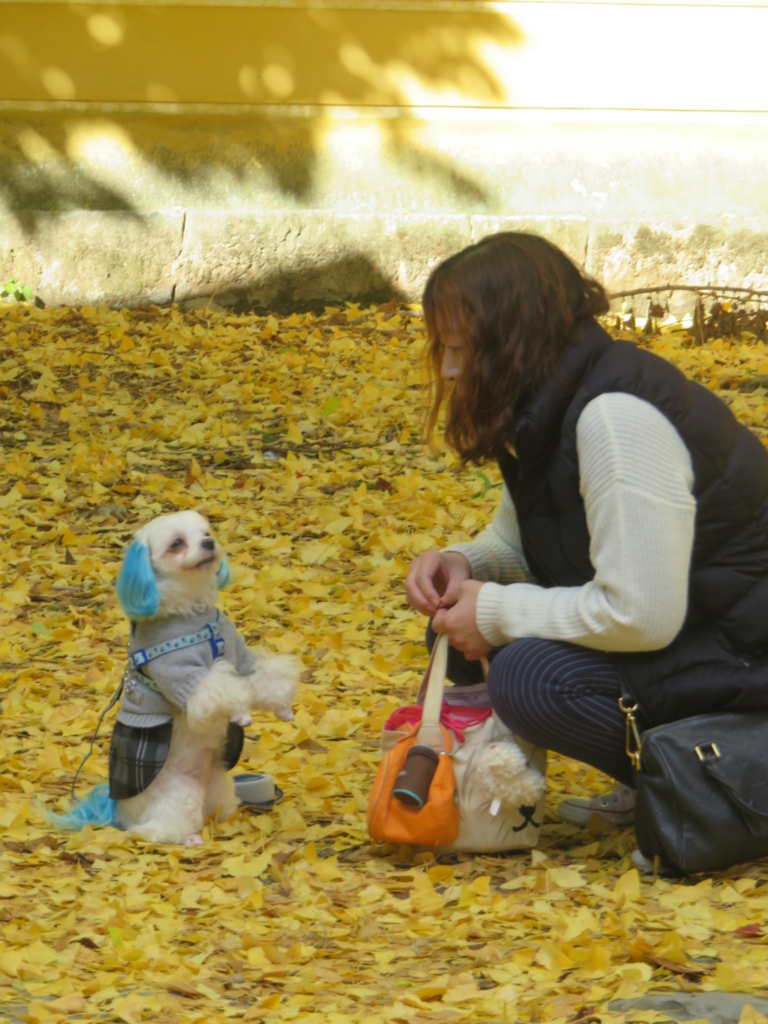 f:id:hirobe123123:20171123140350j:plain f:id:hirobe123123:20171123140350j:plain