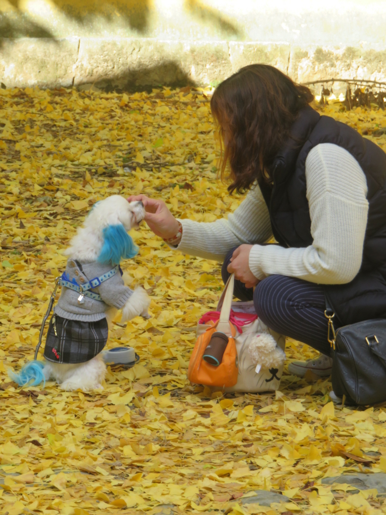 f:id:hirobe123123:20171123140358j:plain f:id:hirobe123123:20171123140358j:plain