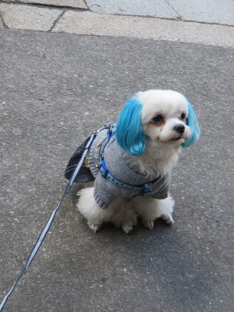 f:id:hirobe123123:20171123145331j:plain f:id:hirobe123123:20171123145331j:plain