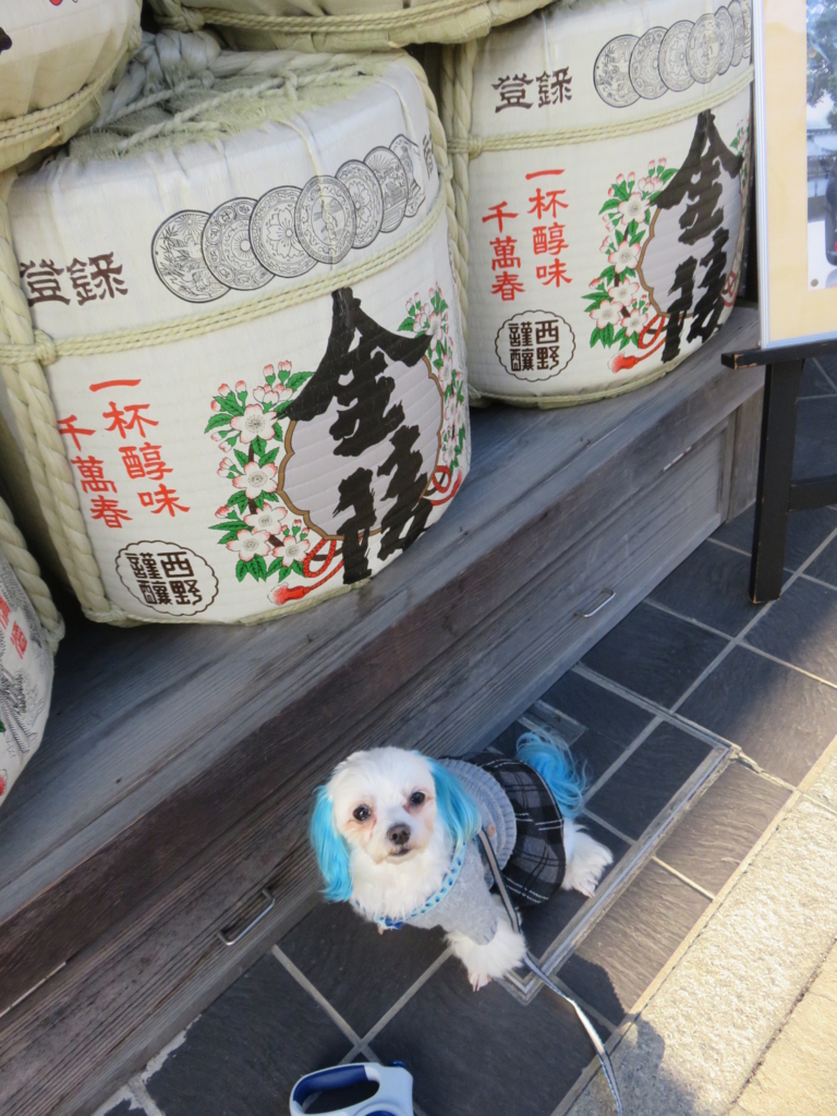 f:id:hirobe123123:20171123155227j:plain f:id:hirobe123123:20171123155227j:plain