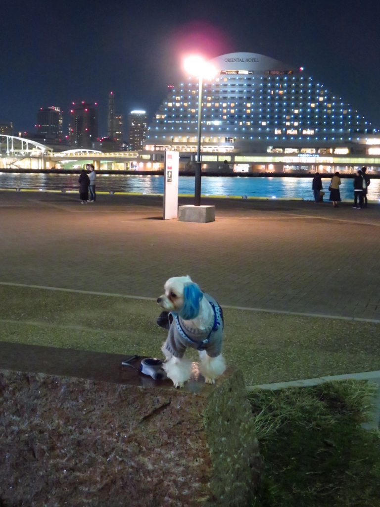 f:id:hirobe123123:20171203194153j:plain