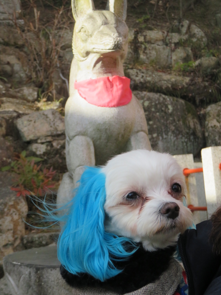 f:id:hirobe123123:20180102150434j:plain
