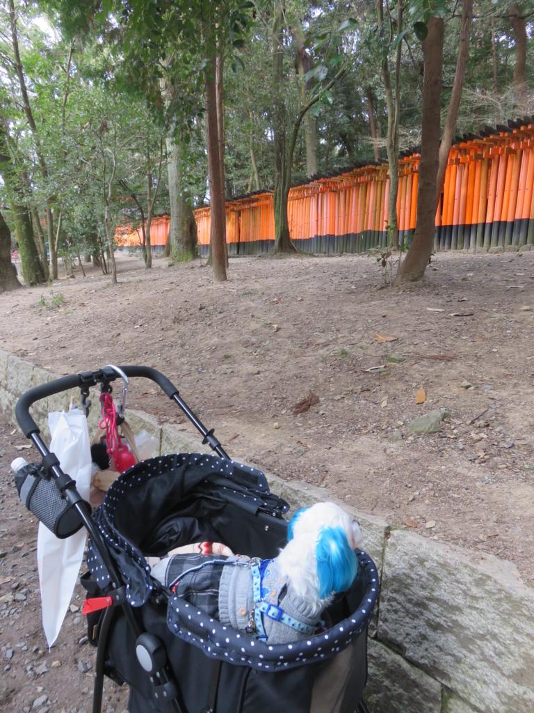 f:id:hirobe123123:20180107145413j:plain f:id:hirobe123123:20180107145413j:plain