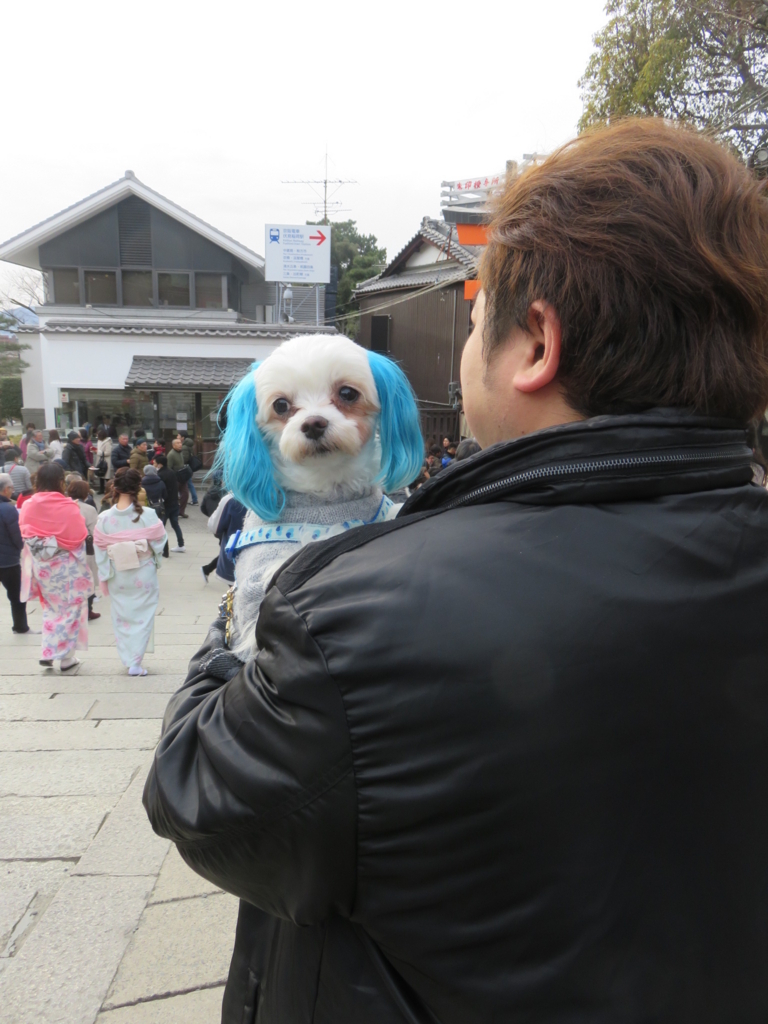 f:id:hirobe123123:20180107152425j:plain f:id:hirobe123123:20180107152425j:plain