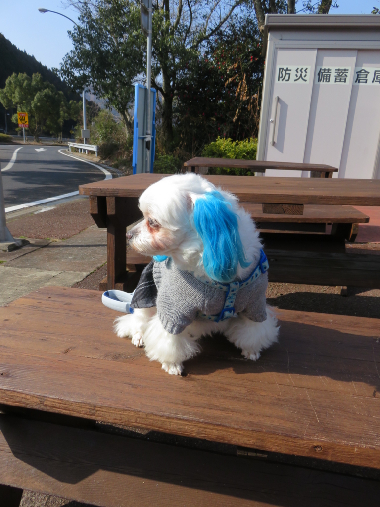 f:id:hirobe123123:20180121120103j:plain