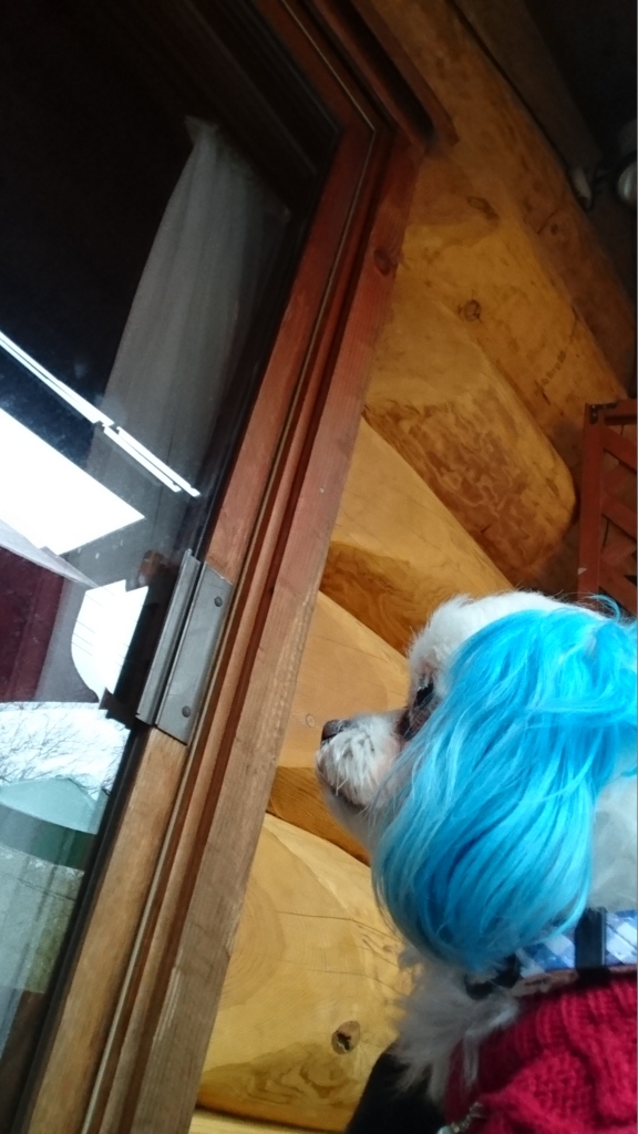 f:id:hirobe123123:20180131224849j:plain