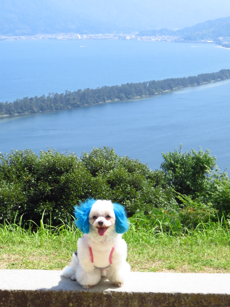 f:id:hirobe123123:20180624142808j:plain