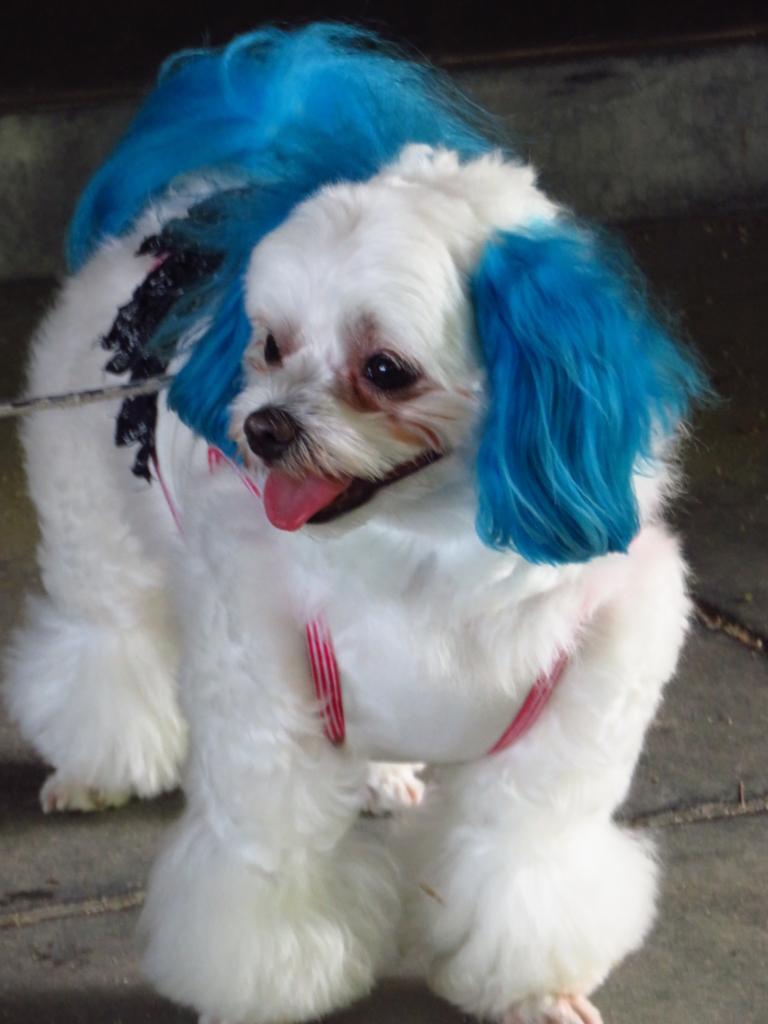 f:id:hirobe123123:20180624143300j:plain