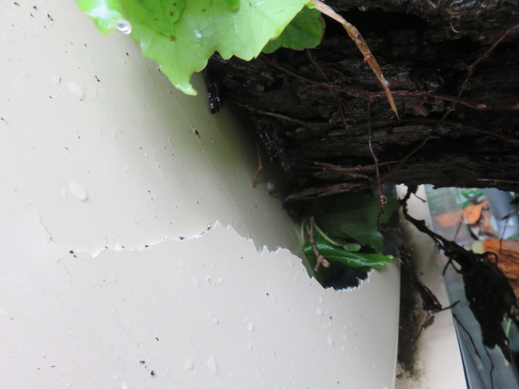 f:id:hirobe123123:20180930115614j:plain f:id:hirobe123123:20180930115614j:plain