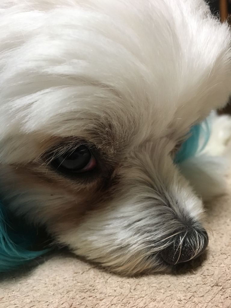 f:id:hirobe123123:20181026200820j:plain