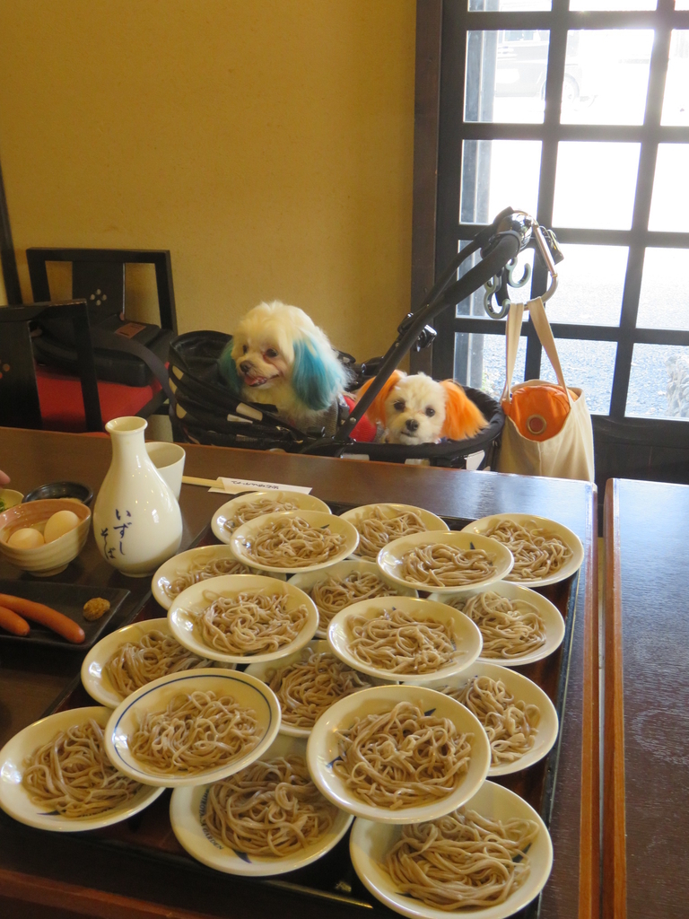 f:id:hirobe123123:20181202135219j:plain f:id:hirobe123123:20181202135219j:plain