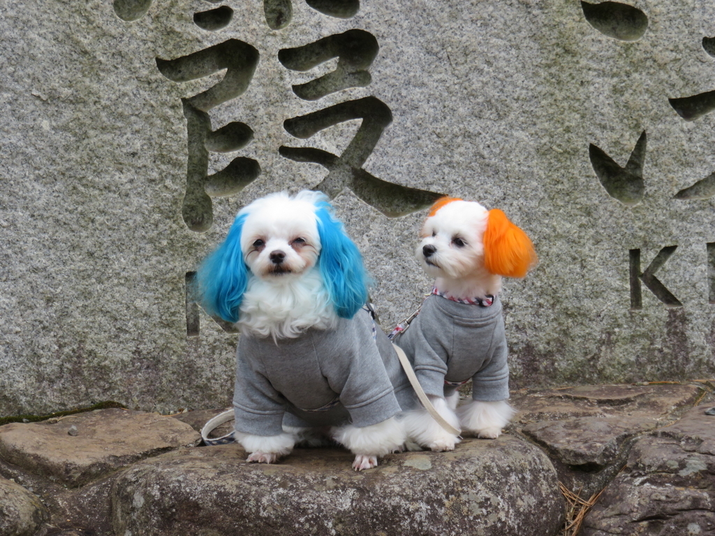 f:id:hirobe123123:20181216143050j:plain f:id:hirobe123123:20181216143050j:plain