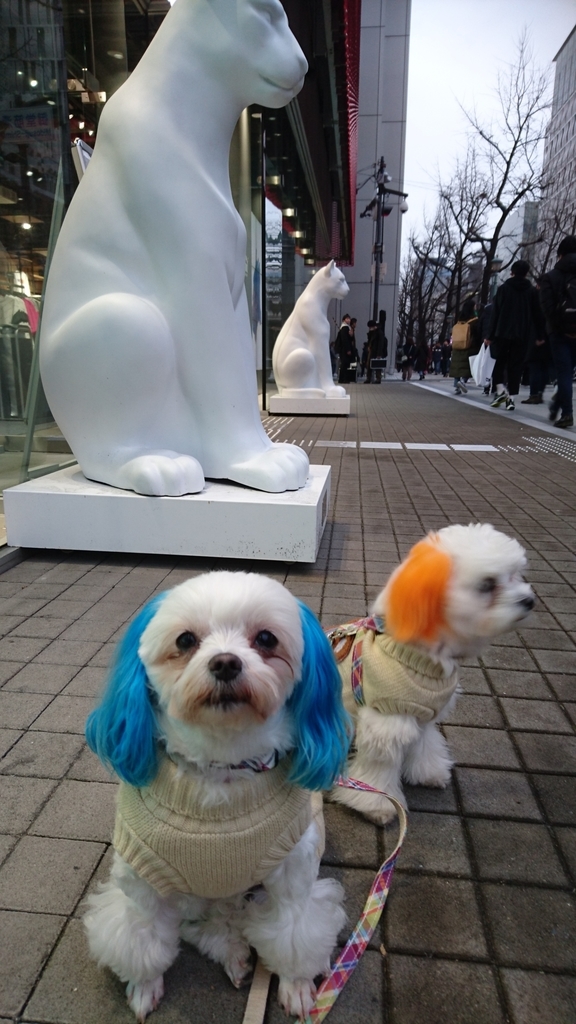 f:id:hirobe123123:20190203162006j:plain f:id:hirobe123123:20190203162006j:plain
