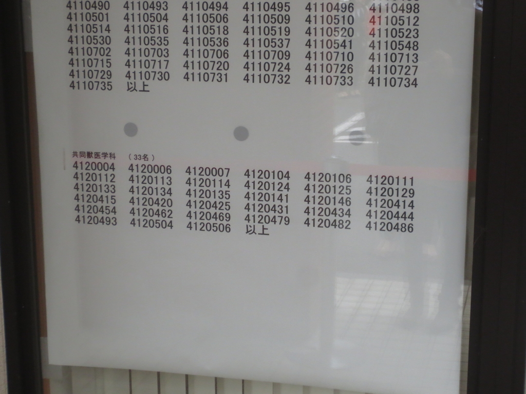 f:id:hirobe123123:20190306110223j:plain