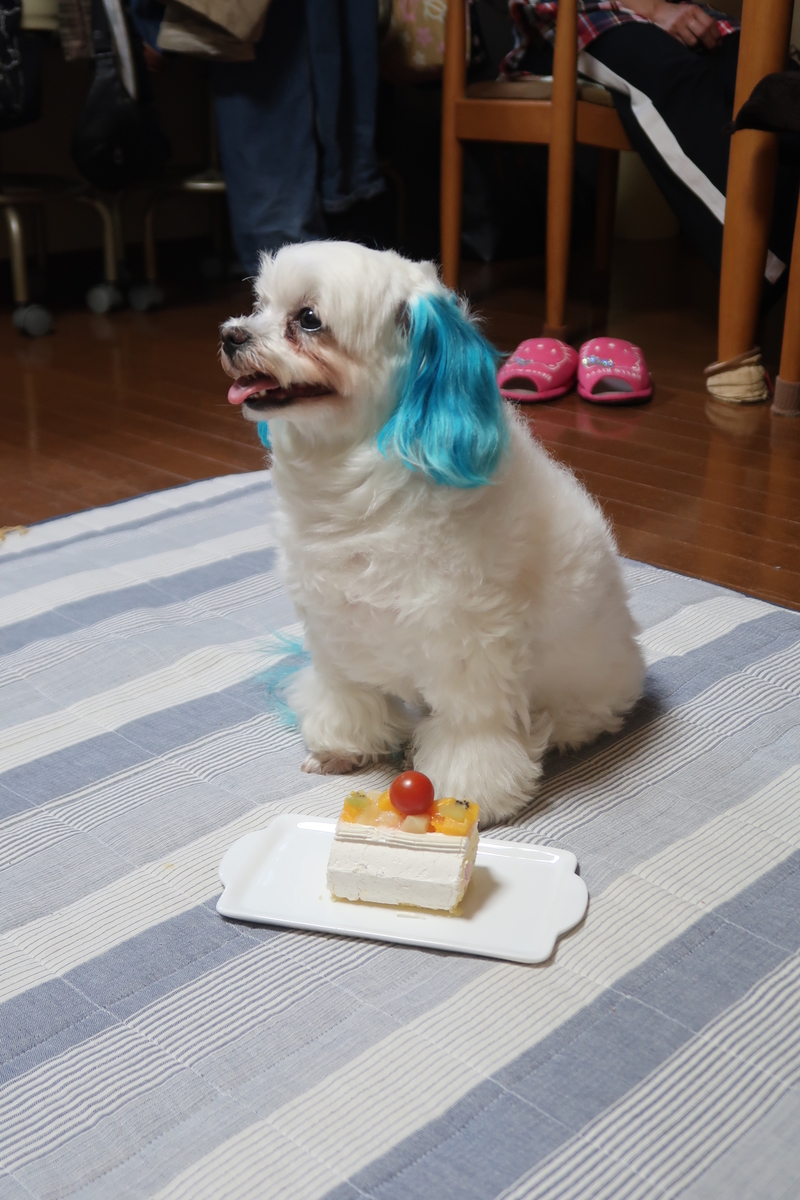f:id:hirobe123123:20190604203018j:plain f:id:hirobe123123:20190604203018j:plain