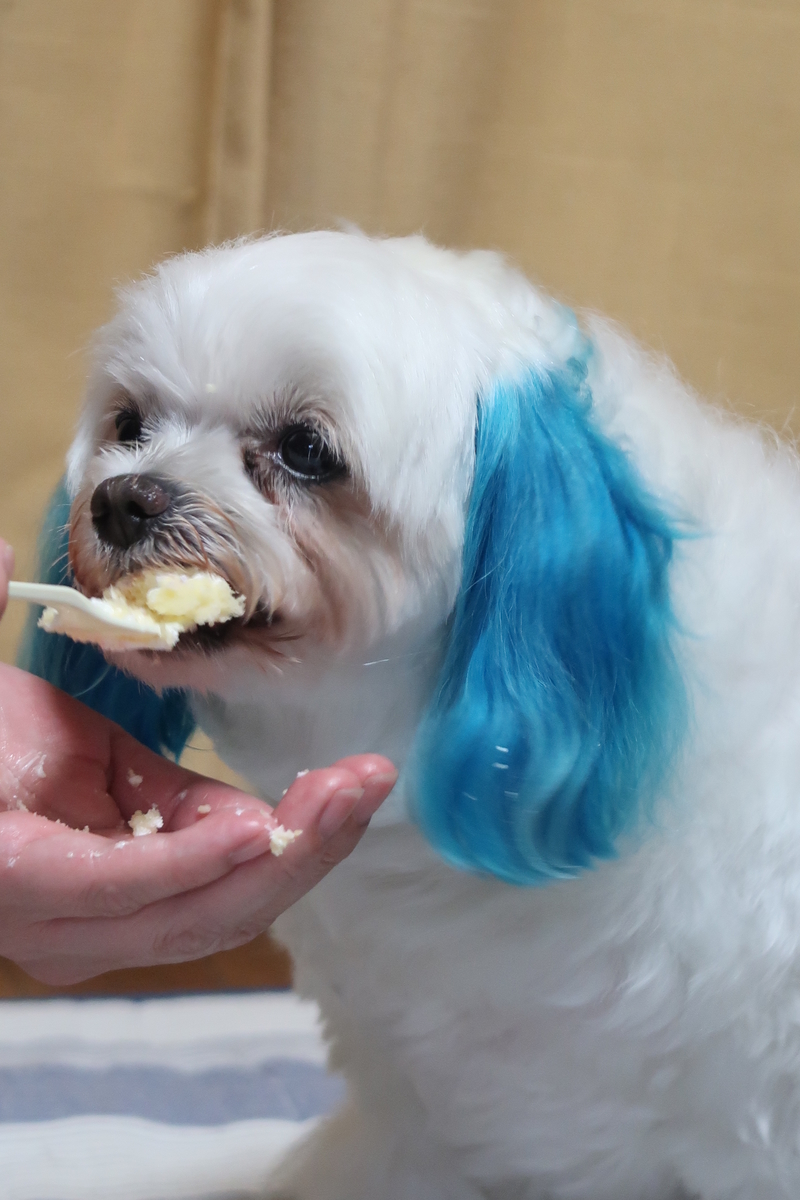 f:id:hirobe123123:20190604203856j:plain f:id:hirobe123123:20190604203856j:plain