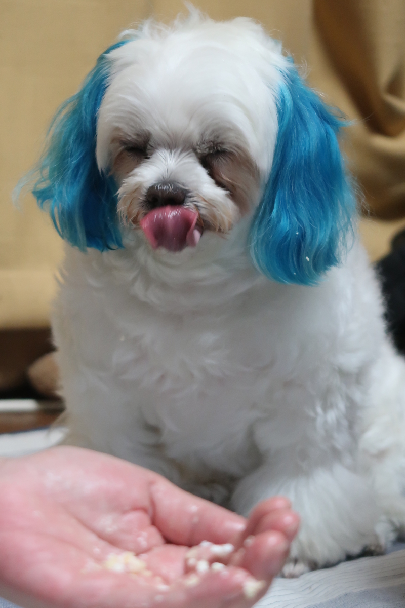 f:id:hirobe123123:20190604204019j:plain f:id:hirobe123123:20190604204019j:plain